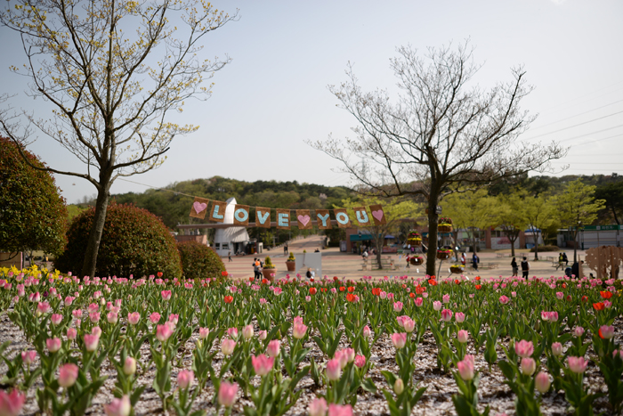 2018 튤립축제