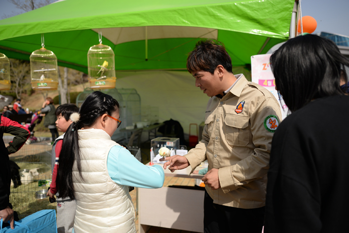 2018 튤립축제