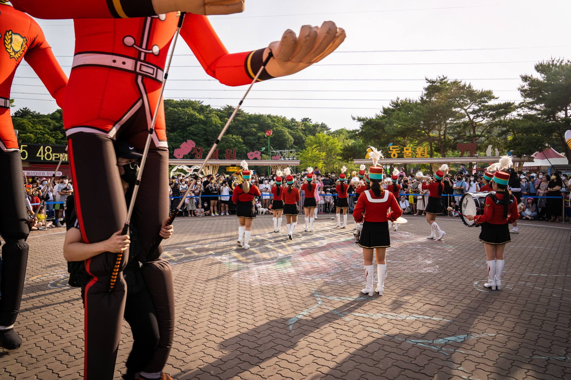 제14회 울산대공원 장미축제 3