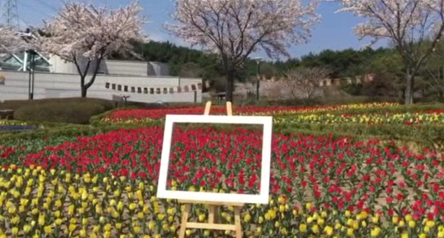 울산대공원 튤립축제