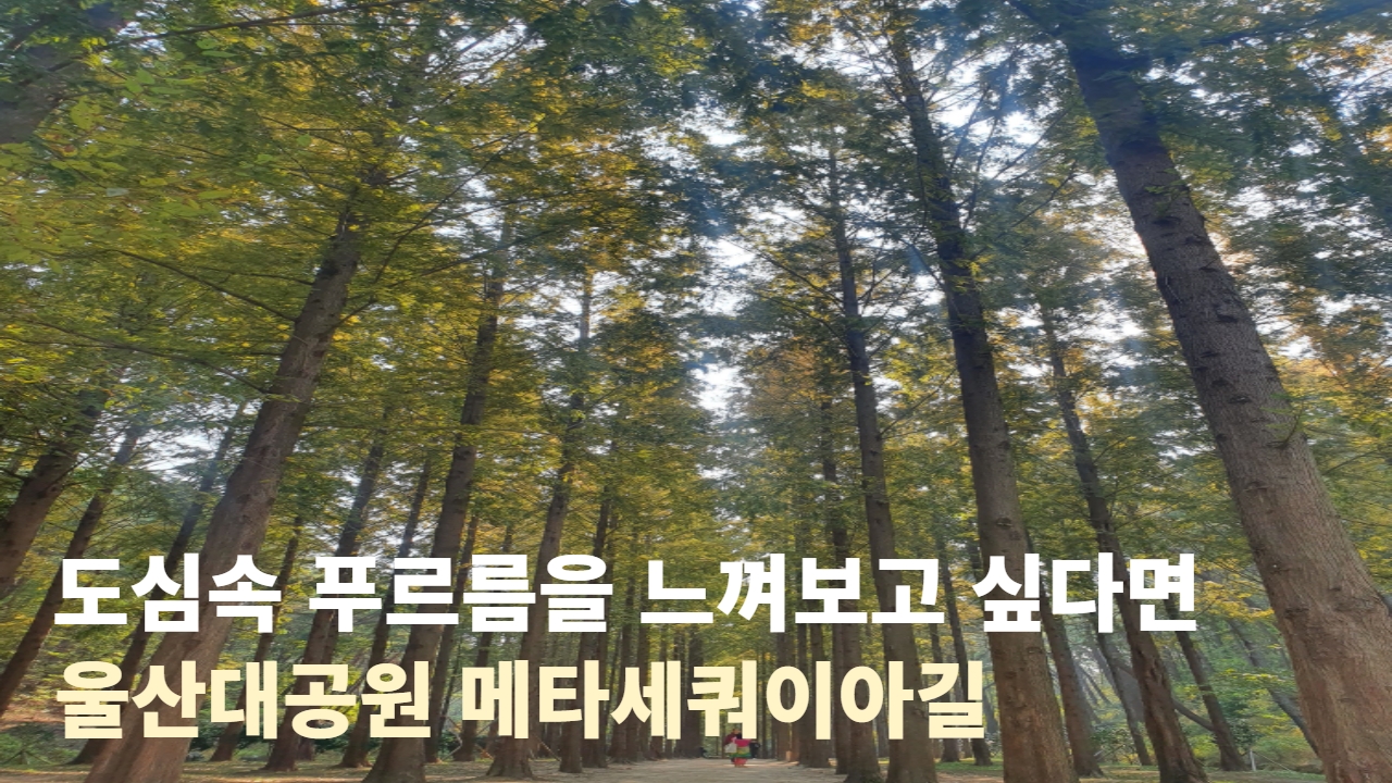 [울산MBC 뉴스데스크] 울산의 재발견 ) 도심속 푸르름으르 느껴보고 싶다면