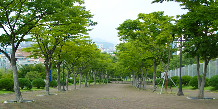 Roadside Greenery