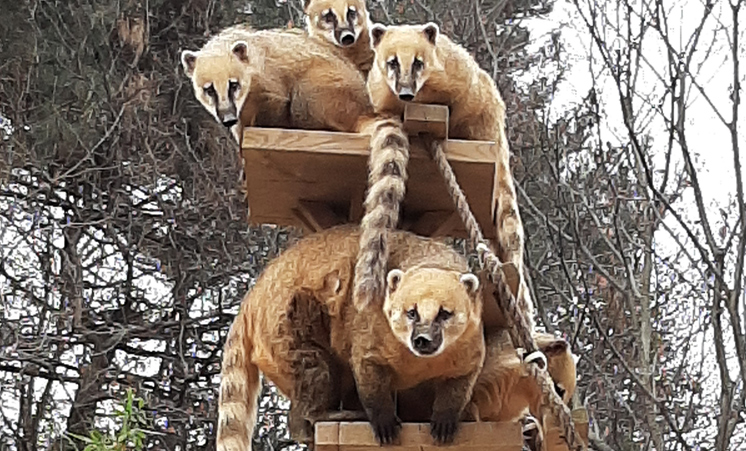 대공원동물원 사진 3